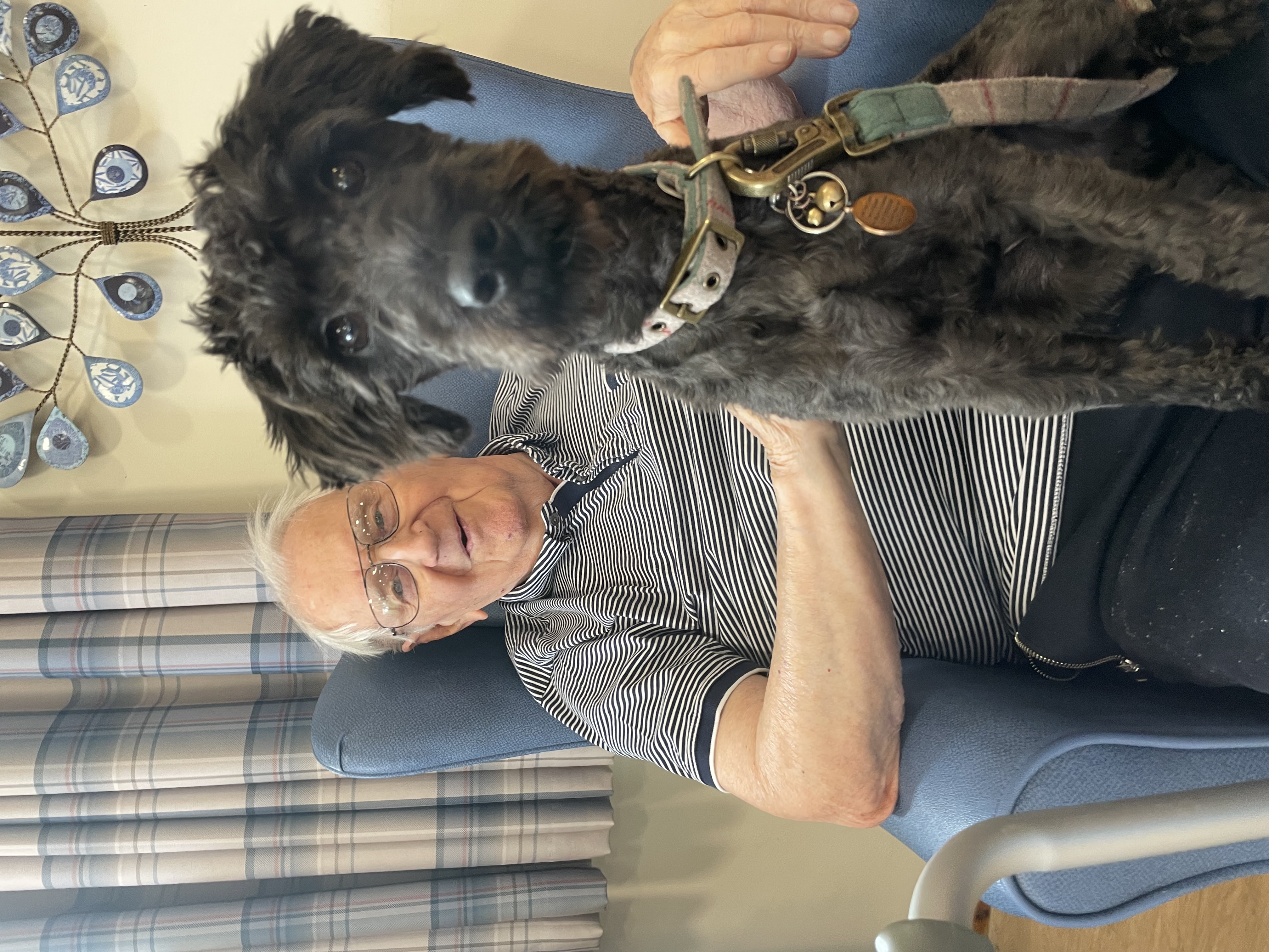 Rufus and the nursing home