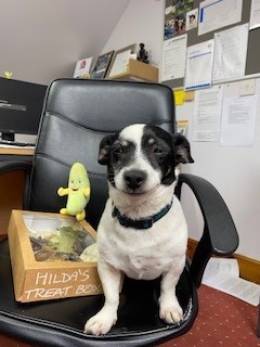 Hilda retires